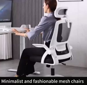 FDS Office Chair: A Comprehensive Guide to Mesh Ergonomics & High Back Computer Chairs