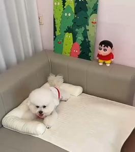 EZPET🐱【Comfort Cooling Pet Icy Bean Mat】Pet Cushion Cat House Dog Mat Tilam Kucing Pet Sleeping Mat Bed Pet Bed 宠物床
