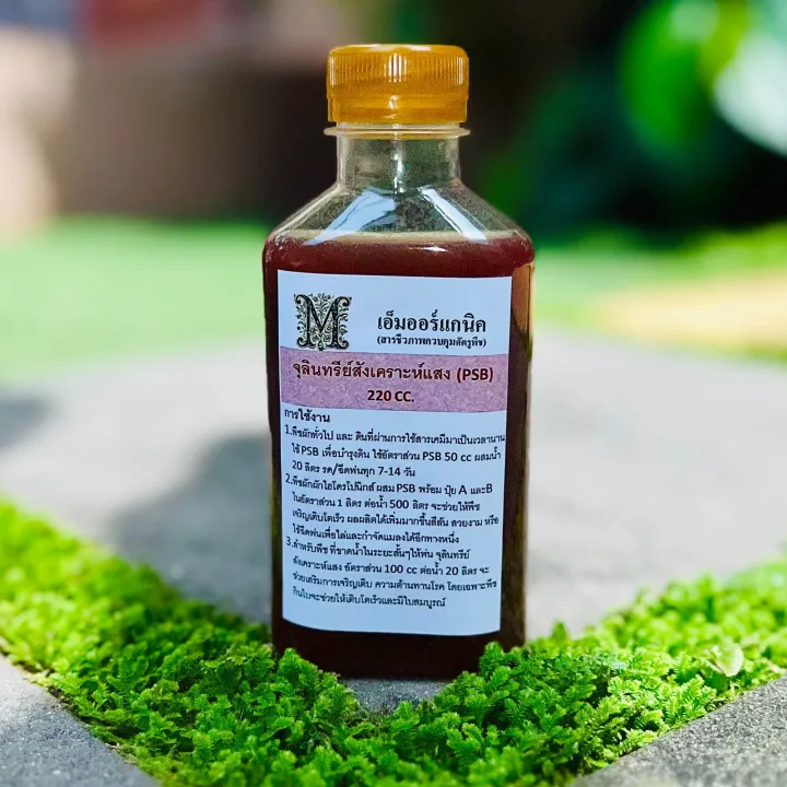 หัวเชื้อจุลินทรีย์สังเคราะห์แสง MAG O-FARM 220cc พร้อมคู่มือขยายเชื้อ