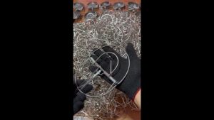 กับดักหนู 6 นิ้วโมดีฟายด์  1 มัด 10 ตัว กับวงเดือนแต่ง