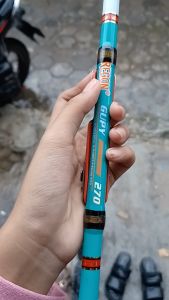 Tegek Oregon Gupy dengan Kolong