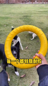Durable Dog Flying Disc Toys Aggressive Chewer Resistant Ring Dog Chewing Catching Toys