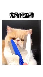 Sisir Serit Kutu Hewan: Alat Grooming Hewan yang Efektif