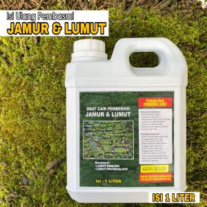 ISI ULANG 1 LITER | OBAT PEMBERSIH LUMUT | JAMUR DING-ding | LUMUT PAVING BLOCK | Ramah Lingkungan