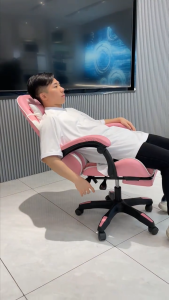 Ergonomic Chair Office chair Computer Chair Gaming Chair Reclining Chair With Foot