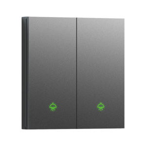 PNTU | Smart Voice & Dual Control Panel Switch