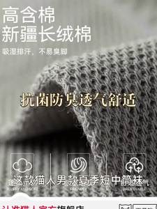 MiiOW | Antibacterial Deodorant Breathable Moisture Wicking Mens Ankle Socks