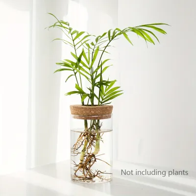 1pc Hydroponics Plants Desktop Glass Planter Vase For Home Decoration Plant Propagation Station Bud Vase Desktop Hydroponics