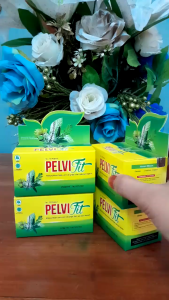 Obat Sakit Kencing Ampuh Infeksi Saluran Kemih ISK Kencing Perih Anyang Anyangan Sering Pipis Prostat Tanpa Operasi Kencing Terasa Panas Sering Kencing Beser Bebau Aman Tanpa Efek Samping - Pelvifit Naturafit 50 Kapsul