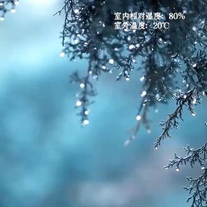 Air Dehumidifier Household Dehumidification dry Purifying air whit LED Display Energy saving integrated dehumidifier除濕器