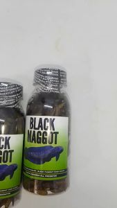 Black Maggot Untuk Asiatica ws / Maru Kemasan Botol 100ml