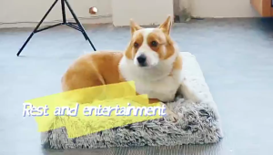 HATELI Giường chuồng cho chó mèo giường đệm lót chuồng bằng lông giả êm ái chống lo âu thảm lót chuồng mềm mại ấm áp đáy chống trượt vỏ bọc có thể tháo rời và giặt được