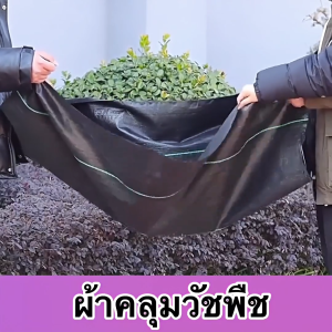 ทนทาน20ปีผ้าคลุมดิน คลุมวัชพืช พลาสติกคลุมดิน สามารถยับยั้งการเจริญเติบโตของวัชพืช เห็นผลไวถายใน 1 เดือน มีหลากหลายขนาดให้เลือก ผ้าคลุมวัชพืช พลาสติกคลุมวัชพืช พลาสติกคลุมหญ้า ผ้าคลุมดิน