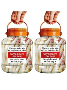 Tender Authentic Homemade Sichuan Pickled Ginger 800g