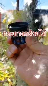 กระถางกล้วยไม้กลมดําโปร่ง ขนาด 1 นิ้ว 1000 ใบ