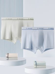 MiiOW | Ice Silk Childrens Underwear Flat Angle Pants Developmental Stage Antibacterial Mesh Elastic Waist Nylon Spandex Boys Briefs