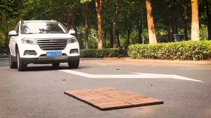 30x30cm Interlocking Flooring Deck Tiles Wood Indoor Outdoor Garden