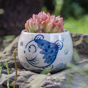 Hand-Painted Terracotta Planters for Succulent Plants Breathable Medium Size Blue And White Pots Jingdezhen Garden Art Plant Pots