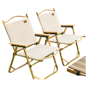 DAYIHE | Portable Folding Chair Outdoor Activities