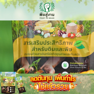 พืชสู้งาน สารเพิ่มประสิทธิภาพดินและพืช สูตรเข้มข้นมาก สารอินทรีย์สกัดคุณภาพ 10 ซอง/1 แพค