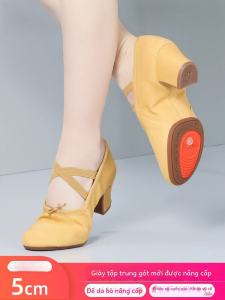 Giày Khiêu Vũ Cao Gót Đế Mềm Màu Khỉ Cho Giáo Viên Và Phụ Nữ Giày Khiêu Vũ Bụng Giày Khiêu Vũ Ballet Giày Khiêu Vũ