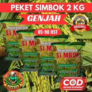 (2KG GENJAH) PADI SIMBOK ORIGINAL