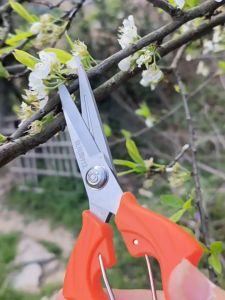 Kéo cắt cành D215xR7cm inox mũi nhọn có răng cưa siêu bén không gỉ dùng cắt cành cây bonsai hoa quả