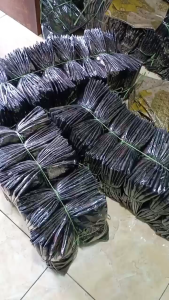 EL-TAQWA BATIK [BISA COD] KEMEJA BATIK || KEMEJA BATIK MURAH || KEMEJA BATIK PRIA || KEMEJA BATIK LENGAN PANJANG || KEMEJA BATIK PEKALONGAN