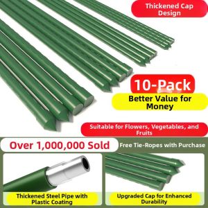 NAIFUNA | Rust-Resistant Trellis