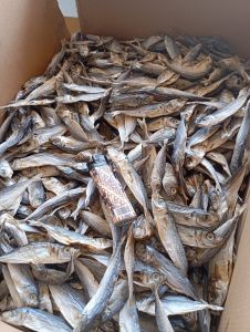 Ikan Asin LAYANG TAWAR BERSIH 1 kg