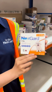 NexGard Dog [Size S 2-4kg] -  Viên nhai mềm phòng Ngoại ký sinh (ve rận bọ chét ghẻ) dành cho Chó - 1 Hộp 6 viên