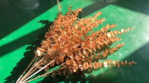 Cành Lá Táo Đồng 5 Nhánh Trang Trí Giỏ Quà  Mix Đào Đông Cắm Bình Loại Đẹp Làm Tháp Bánh Tháp Nước Tài Lộc