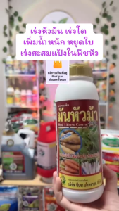 มันหัวม้า ตราม้าลายใบไม้ อาหารเสริมเร่งหัวมัน เร่งโต เพิ่มน้ำหนัก หยุดใบ เร่งสะสมแป้งในพืชหัว