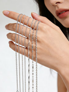 ZHENGZHAO | No Pendant Lockbone Chain Necklace