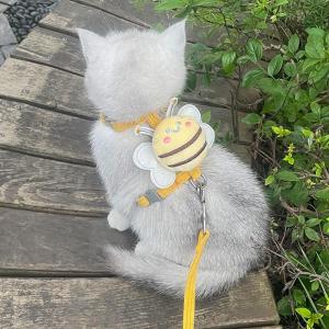 Adjustable Dog Leash for Outdoor Walking Small Dogs Teddy Bichon Kittens Retractable Polyester Lead Pet Supplies