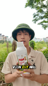 (ComBo 2 Chai Top1 - Tặng 2 Lọ Domino )- Kinh Bắc- Đặc Trị Côn Trùng Rầy zanh Rệp Sáp Kiến .... Pha 1000 đến 1200l nước Giúp Cây trồng phát triển tốt