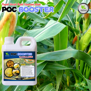 Pupuk Cair Organik Booster Jagung InterFarm - Nutrisi Lengkap & Efektif