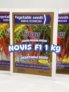 Benih Cabai Merah Besar Novis: Solusi Hidroponik Dataran Rendah