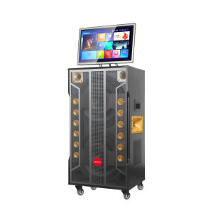 AIWA | Bluetooth Outdoor KTV Speaker with Large Volume