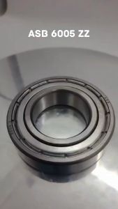 Panduan Menggunakan Laker Bearing 6005 ZZ & ASB Bearing Noken As pada KLX 150 Tiger Scorpio