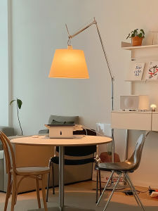 DGY | Retractable Arm Retro Floor Lamp