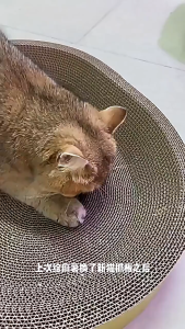 Cat Claw Board Round Corrugated Scratching Pad Pet Bed Lounge Rest Area Toy for Cats Pengasah Kuku