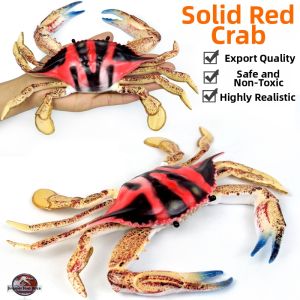 Educational Red Flower Crab Toy