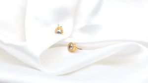 Bông Tai Nữ Charm Đính Đá Titan Mạ Vàng 18K Mạ Bạch Kim Cao Cấp Thanh Lịch Khuyên Tai Lấp Lánh P214