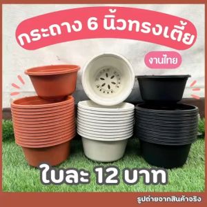 กระถางกลม 6 นิ้ว ทรงเตี้ย