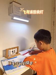 Philips | Long Battery Magnetic Reading Light