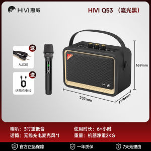 Portable Hivi Q53 Speaker Wireless Bluetooth Karaoke Home Use High Volume Bass Stereo Handheld Mini Speaker with Microphone