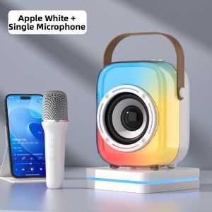 soaiy | All-in-one Microphone and Speaker Bluetooth KTV Microphone for Home Use