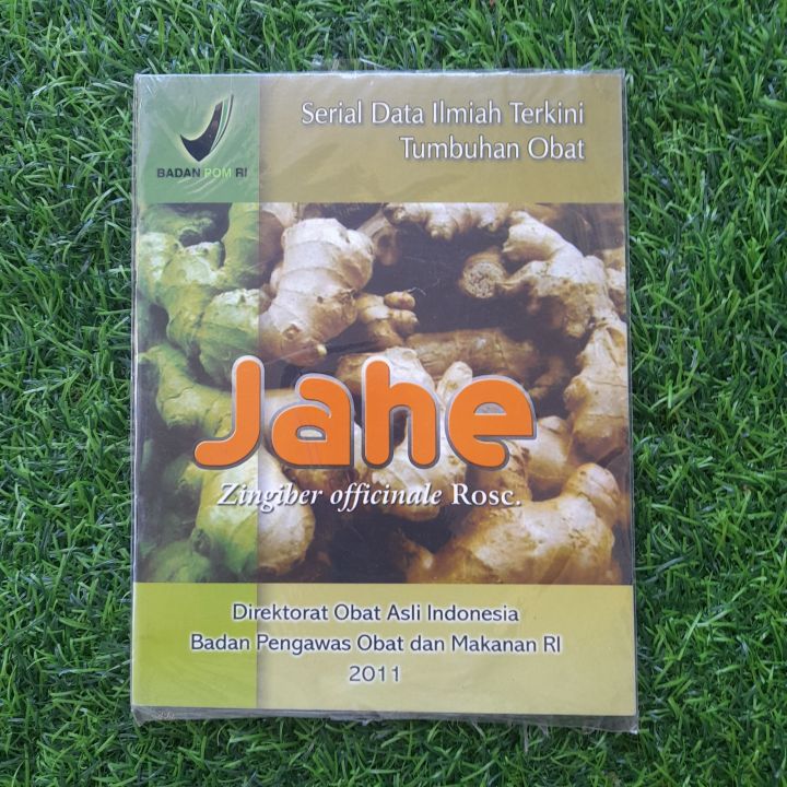 Jahe—Zingiber Officinale Rosc