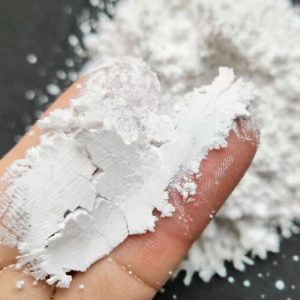 forsso | Decolorizing Pest-Repelling Cultivation Aid Diatomaceous Earth Filter Powder